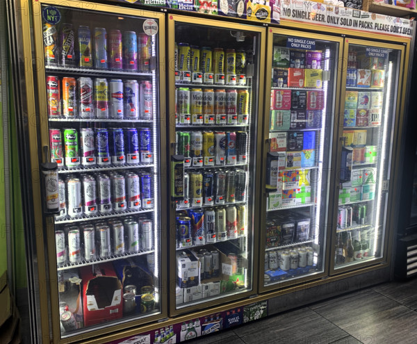Selection of cold beer in grocery store