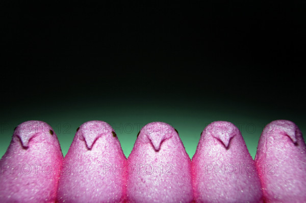 Marshmallow Chicks