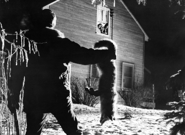 Keir Dullea (rear view with fox), Sandy Dennis, Anne Heywood, on-set of the film, "The Fox", Warner Bros.-Seven Arts, Claridge Pictures, 1967