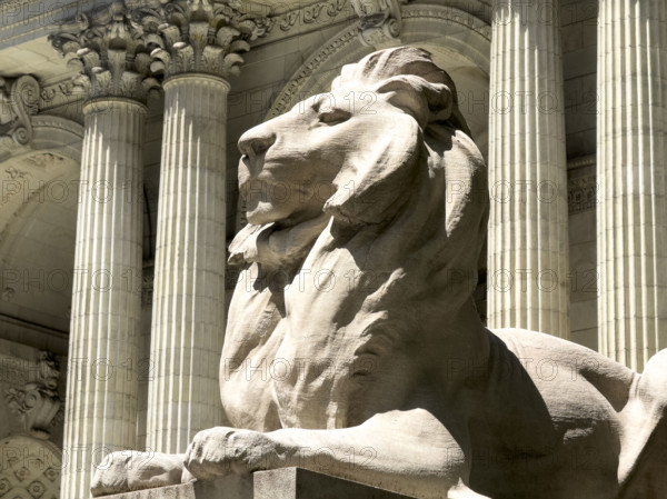 Lion statue Fortitude sitting atop pedestal, New York Public Library, Fifth Avenue, New York City