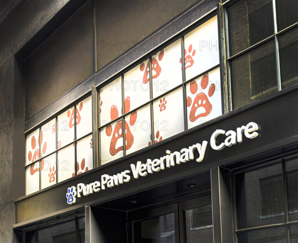Pure Paws Veterinary Care, New York City
