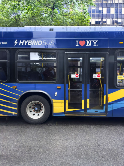Hybrid Bus, rear view, Broadway, New York City