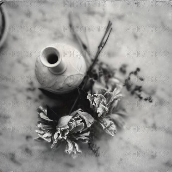 Empty vase with pile of dried flowers by its side