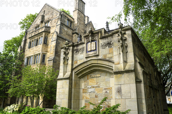 Anne T. & Robert M. Bass Library, Yale University, New Haven