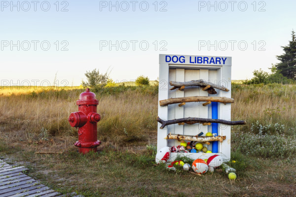 Dog library filled with toys and sticks for dogs to borrow near red fire hydrant at beach