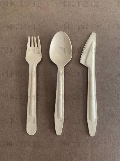 Disposable Wood Flatware Utensils