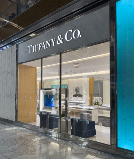 Tiffany & Company retail store, exterior view, The Shops and Restaurants at Hudson Yards, 20 Hudson Yards, Hudson Yards, Manhattan, New York City, New York, USA