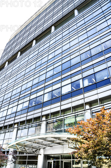 Irving Cancer Research Center, Columbia University Irving Medical Center, 1130 St Nicholas Avenue, Washington Heights, Manhattan, New York City, New York, USA