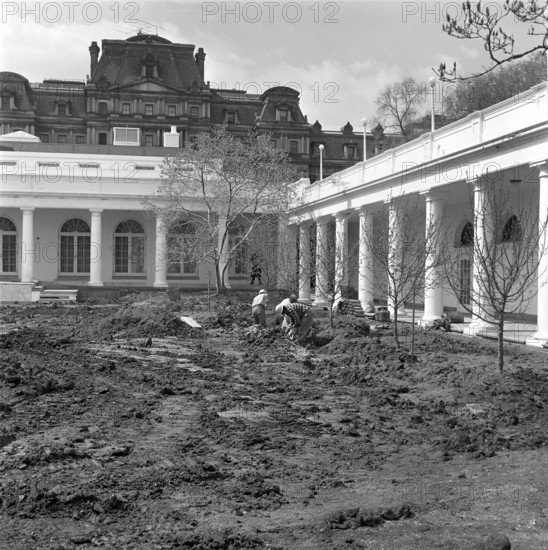 Three unidentified workers dig into section of the lawn at the Rose Garden construction site near West Wing Colonnade, White House, Washington, D.C.., USA, Robert Knudsen, White House Photographs, April 2, 1962
