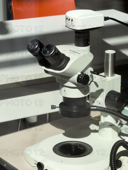 Olympus SZ61 Microscope in research laboratory, BioBase Harlem, Zuckerman Institute, Columbia University, Manhattan, New York City, New York, USA