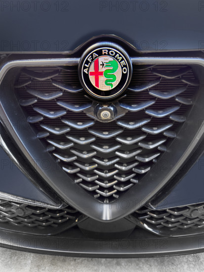 Alfa Romeo, car grille and logo, Close-up detail
