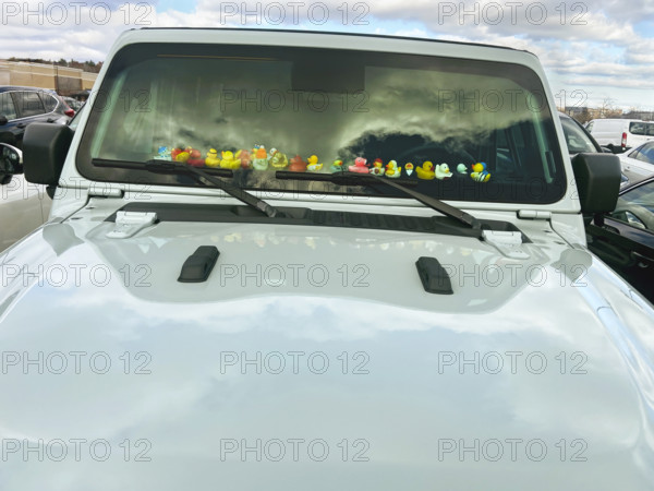 Collection of rubber ducks on Jeep dashboard