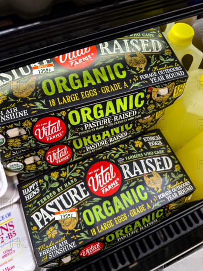 Vital Farms organic eggs in grocery store