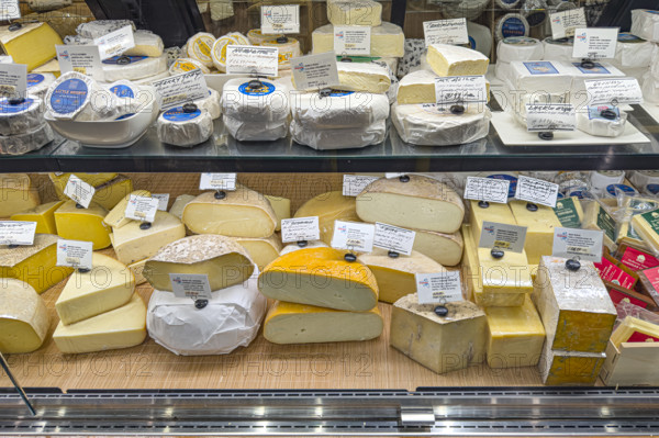 Cheese display case, Saxelby Cheesemongers, Chelsea Market, Chelsea, Manhattan, New York City, New York, USA