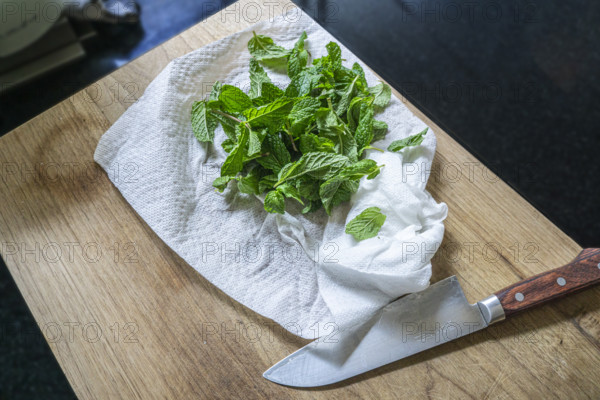 High angle view of fresh mint leaves on cutting board