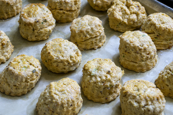 Close-up view baking sheet filled with savory scones