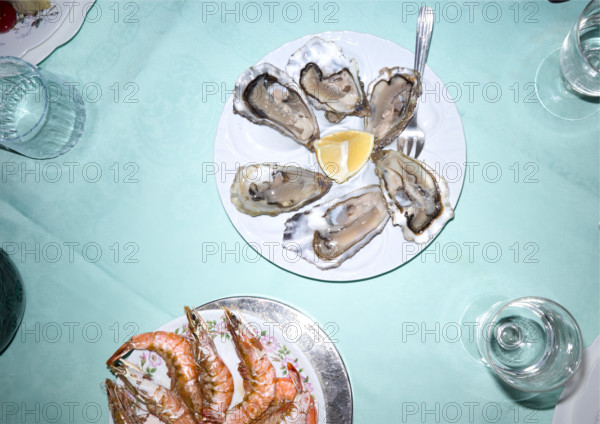 High angle view of dining table featuring plates of oysters and prawns with glasses of water and tableware