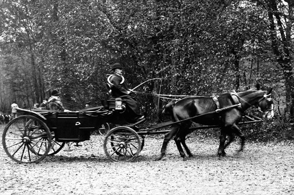 The Duke of Chartres in a barouche