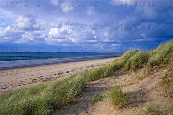 Dune à Audresselles, Pas-de-Calais