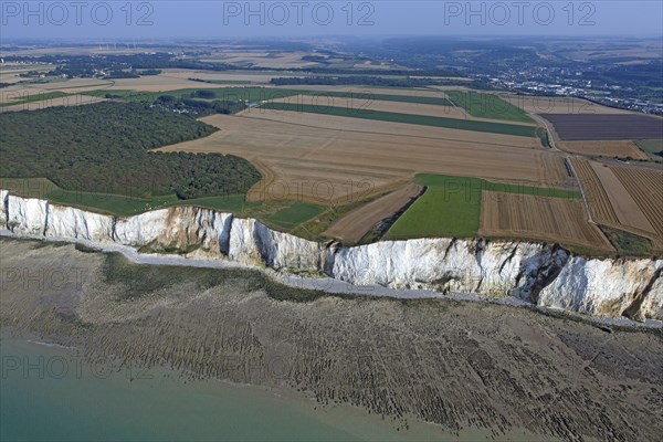 Falaises d'Ault, Somme