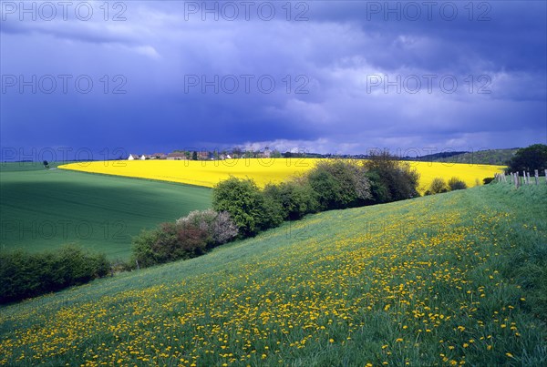 Landscape of agricultural countryside in the Vexin