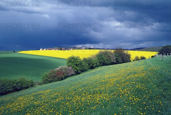 Paysage orageux en Picardie