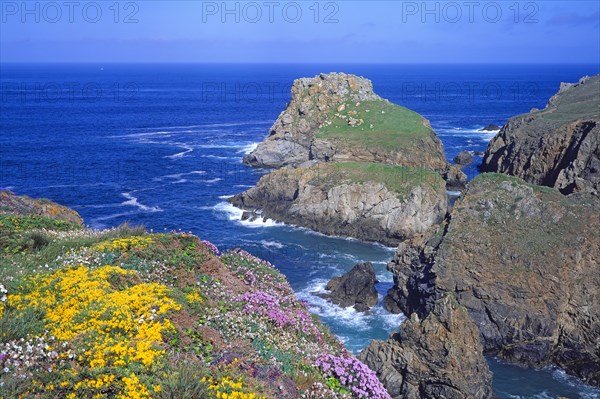 Cap Sizun, Finistère