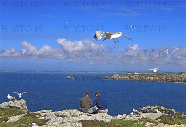 Camaret-sur-Mer, Finistère