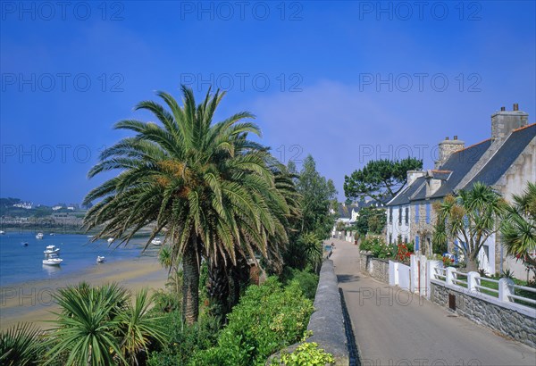 Ile de Batz, Finistère