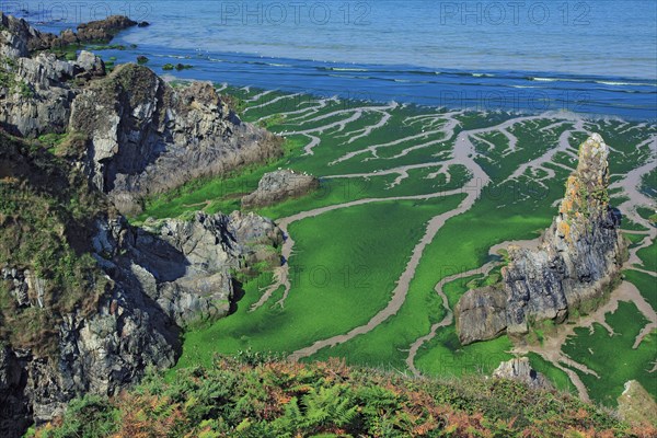 Douarnenez, Finistère