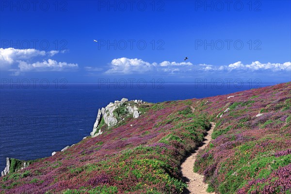 Coastal Landscape of the Bay of Douarnenez, Finistère