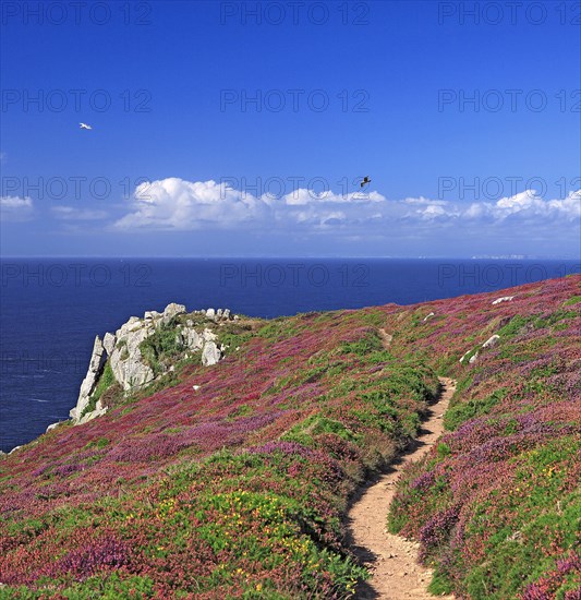 Cléden-Cap-Sizun, Finistère