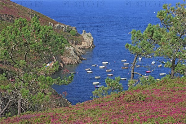 Paysage côtier de la baie de Douarnenez, Finistère