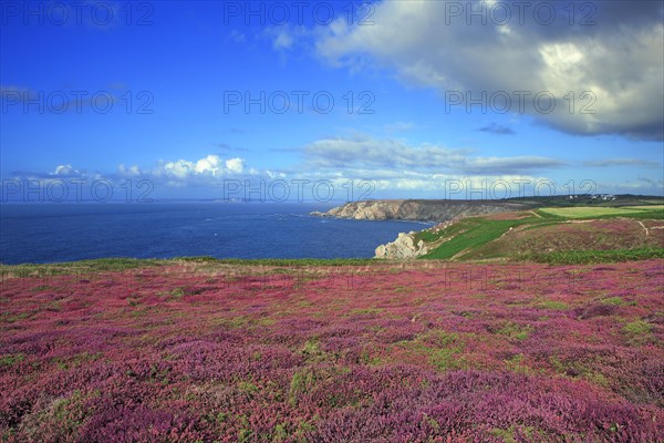 Coastal landscape of the bay of Douarnenez, Finistère