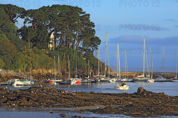 Douarnenez, Finistère