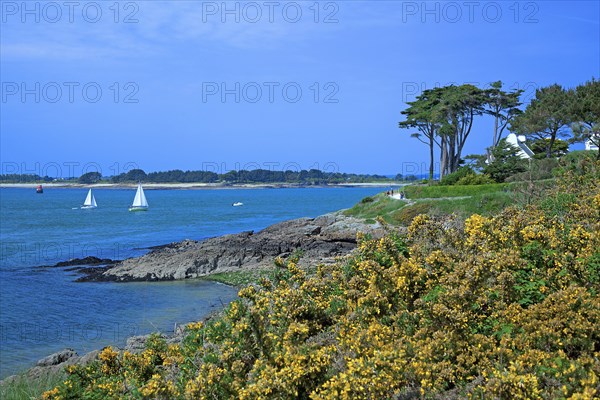 Golfe du Morbihan, Morbihan