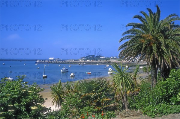 Ile de Batz, Finistère