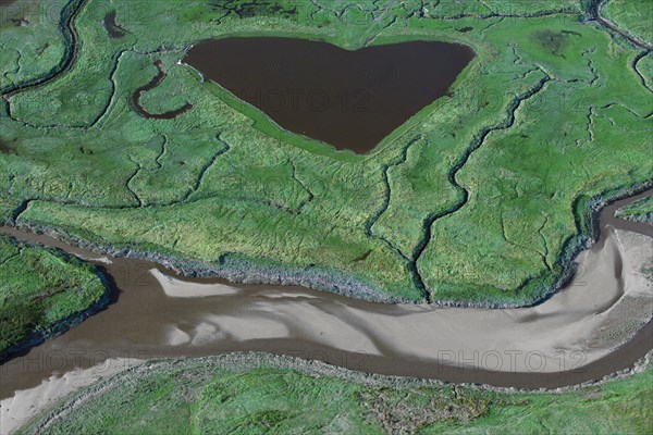 Baie de Somme, Somme