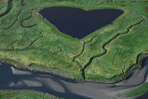 Baie de Somme, Somme