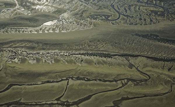 Baie d'Authie, Pas-de-Calais