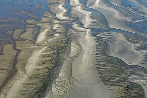 Baie d'Authie, Pas-de-Calais