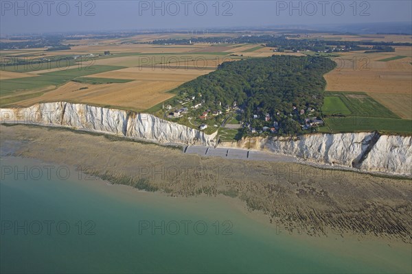 Le Bois de Cise, Ault, Somme