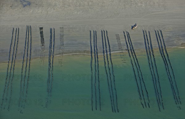 Côte d'Opale, Somme