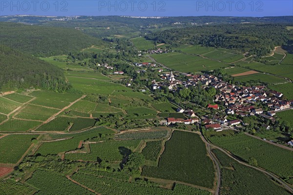 Auxey-Duresses, Côte-d'Or