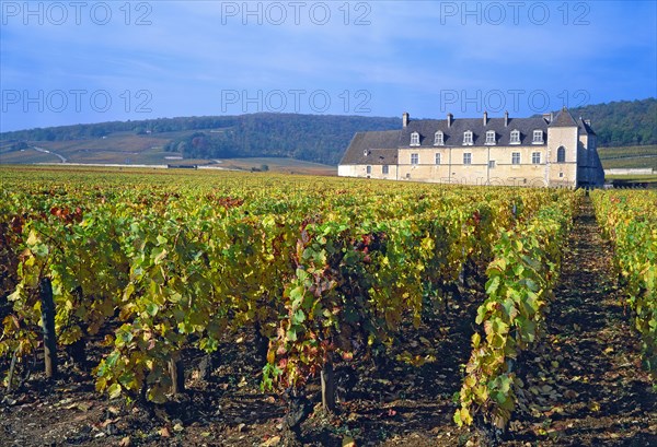 Vougeot, Côte-d'Or