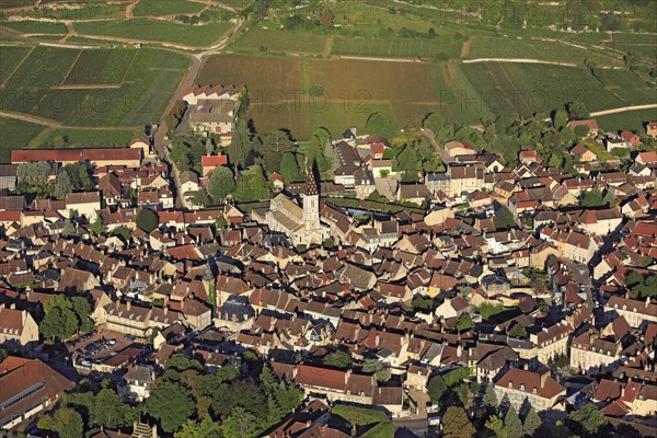 Nuits-Saint-Georges, Côte-d'Or