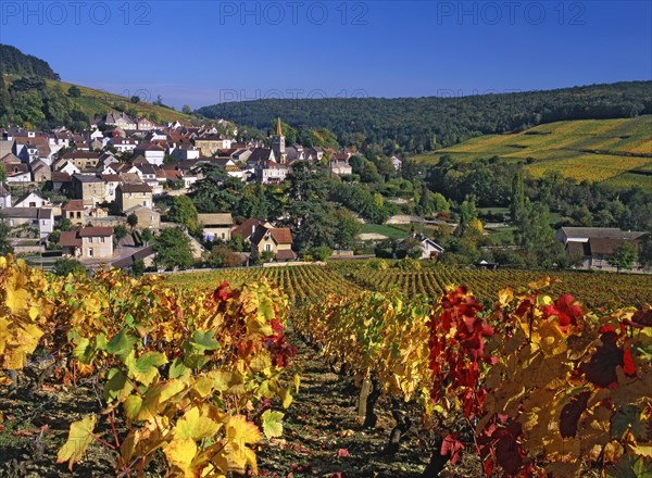 Pernand-Vergelesses, Côte-d'Or