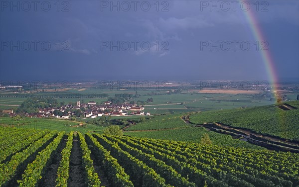 Pommard, Côte-d'Or