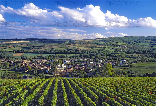 Santenay, Côte-d'Or