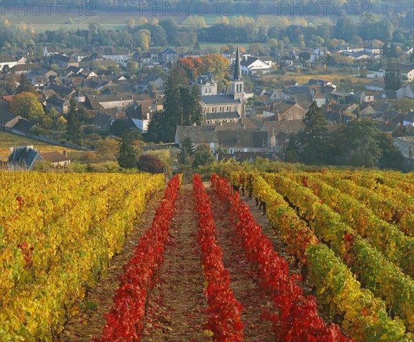 Santenay, Côte-d'Or